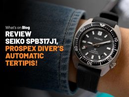 Review Seiko SPB317
