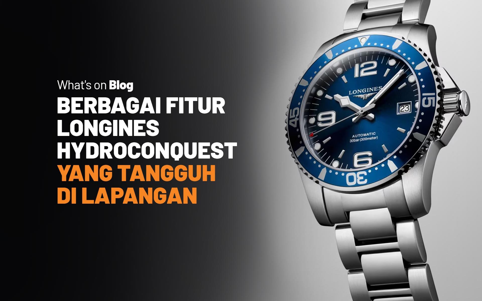 Review Jam Tangan Longines HydroConquest 41mm Blue Dial Blog