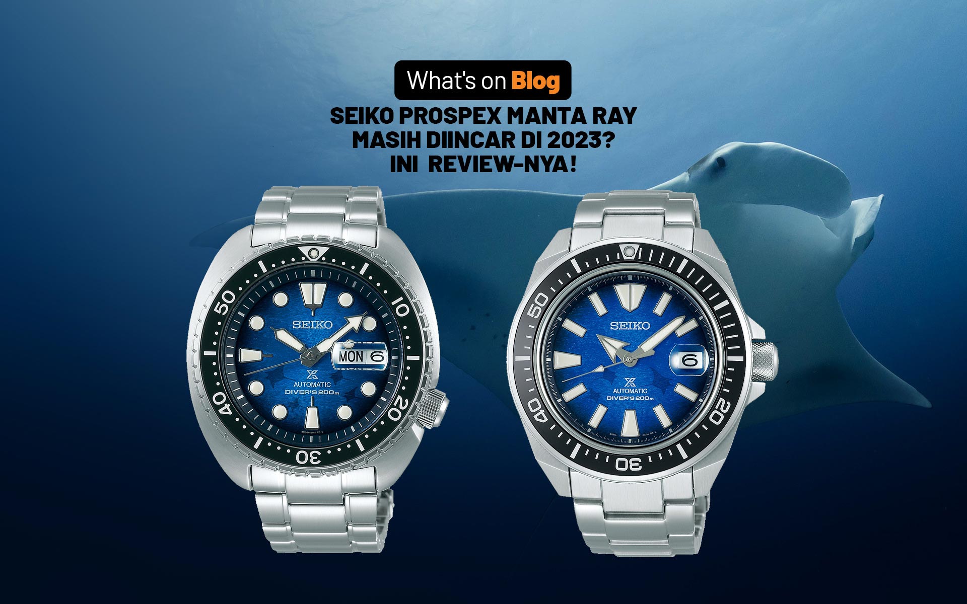 Seiko manta ray review hot sale