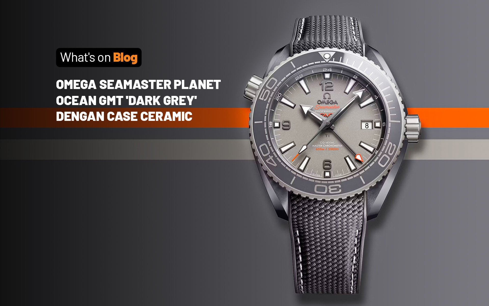 Seamaster Planet Ocean 600M Dark Grey - 215.92.46.22.99.002