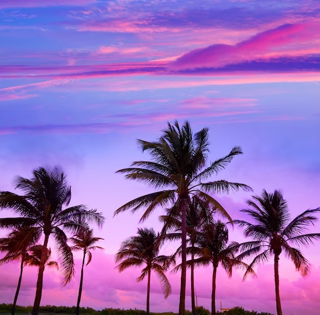 Sunset di kota Miami