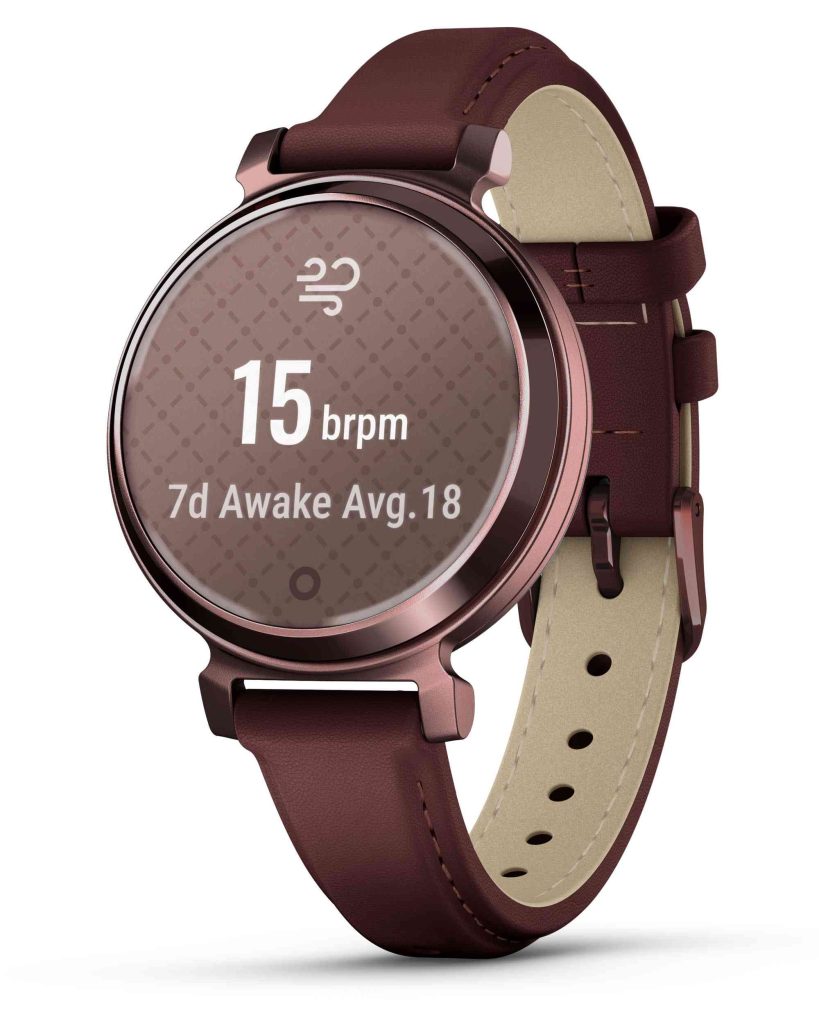 Garmin Lily 2 Classic 010-02839-03